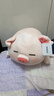 名創(chuàng  )優(yōu)品（MINISO）小豬B-BO彈力超柔趴姿毛絨公仔玩具玩偶抱靠枕娃娃送禮生日禮物女 曬單實(shí)拍圖