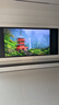 海信電視小墨E5Q Pro 100吋 1248分區U+MiniLED 信芯芯片極黑極透黑曜屏Pro國家補貼世界杯100E5Q-PRO 曬單實(shí)拍圖