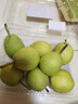 【產(chǎn)地直采】新疆庫爾勒香梨 約900g 單果100g+ 曬單實(shí)拍圖