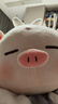 名創(chuàng  )優(yōu)品（MINISO）小豬BBO翅膀款趴姿毛絨公仔娃娃生日禮物卡通可愛(ài)玩偶送女朋友 小豬B-BO系列翅膀款趴姿毛絨公仔 曬單實(shí)拍圖