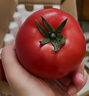 京地達山東普羅旺斯西紅柿 凈重4.5斤單果110g新鮮番茄當季源頭直發(fā)包郵 曬單實(shí)拍圖