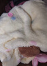 果殼（Gukoo）睡衣女冬季新款多款可愛(ài)女家居服保暖連帽卡通睡袍 奶黃 L 曬單實(shí)拍圖