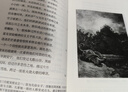 失樂(lè )園 劉捷譯 譯文名著(zhù)精選 上海譯文出版社 “西方三大詩(shī)歌”之一 曬單實(shí)拍圖