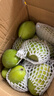 庾豐 海南芒果 新鮮水果生鮮整箱當季大青皮金煌芒 熱帶孕婦玉芒果 10斤裝（凈重9斤） 單果250克+ 曬單實(shí)拍圖