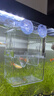 備能（BEINENG）魚(yú)缸隔離盒孔雀魚(yú)繁殖盒懸浮式小號小幼魚(yú)用透明亞克力孵化盒 曬單實(shí)拍圖