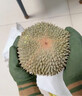 京東超市馬來(lái)西亞新鮮黑刺榴蓮D200 2.5-3.0斤液氮冷凍生鮮水果源頭直發(fā) 曬單實(shí)拍圖