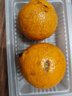正宗廣西皇帝柑時(shí)令橘子新鮮水果當季現摘蜜桔子貢柑甜橘京東直發(fā) 【帶箱大果5斤】新鮮采摘產(chǎn)地直發(fā) 曬單實(shí)拍圖