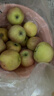 新疆阿克蘇冰糖心蘋(píng)果新鮮水果整箱禮盒丑蘋(píng)果新疆直采70-85mm 帶箱10斤凈重8.8斤大果80-85mm 曬單實(shí)拍圖