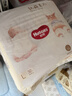 好奇（Huggies）軟萌星人柯基褲紙尿褲S48片(4-8kg)尿不濕【軟糯貼貼】 曬單實(shí)拍圖