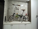 大行（DAHON）D10折疊自行車(chē)20英寸10速成人復古單車(chē)HAC003 郵政綠 曬單實(shí)拍圖