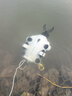 FIFISH鰭源 V-EVO水下無(wú)人機4K高清攝像潛水器可視遙控潛艇智能拍攝機器人 100米機械臂套裝（標配+機械臂） 標準版（內置SD卡） 曬單實(shí)拍圖
