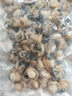 鮮剝扇貝肉 速凍鎖鮮扇貝柱 480g*2包 曬單實(shí)拍圖