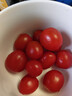 廣西露天櫻桃小番茄禮盒裝水果圣女果新鮮采摘佳節送禮 帶箱2斤（禮盒裝） 2斤 凈重1.7斤中秋佳節必買(mǎi) 曬單實(shí)拍圖