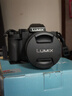 松下（Panasonic）Lumix G100D M43畫(huà)幅相機 M43卡口 微單相機 無(wú)反數碼相機 G100D+【12-60mm白盒】單鏡套裝 曬單實(shí)拍圖