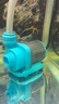 創(chuàng  )寧變頻潛水泵 CN-9500-13W 10檔流量調節 魚(yú)缸假山噴泉池循環(huán)抽水 曬單實(shí)拍圖