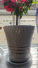 歐式金腰線(xiàn)高溫陶瓷花盆辦公室陽(yáng)臺客廳落地金錢(qián)樹(shù)圓形高顏值 口徑20【2個(gè)裝】送托盤(pán) 曬單實(shí)拍圖