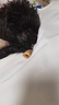 瘋狂小狗 寵物狗零食磨牙棒幼犬成犬耐咬潔齒 鴨肉牛皮夾心卷150g 曬單實(shí)拍圖