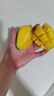 海南臺農芒果 熱帶水果臺農芒甜心芒新鮮雞蛋芒整箱批發(fā) 小臺芒凈重3.5-4斤單果60g+ 曬單實(shí)拍圖