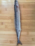 樂(lè )生海大號秋刀魚(yú)500g/袋 新鮮海捕 鮮活冷凍 生鮮燒烤食材海鮮魚(yú)類(lèi) 精選秋刀魚(yú)4斤（5-7條/斤） 曬單實(shí)拍圖
