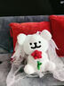 HKNA線(xiàn)條小狗壓床娃娃一對結婚送新人毛絨公仔可愛(ài)陪嫁玩偶新婚禮物 一對玫瑰花款送珍珠頭紗黑領(lǐng)結 30cm版型正 曬單實(shí)拍圖