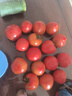 云南高山西紅柿水果番茄可生吃新鮮蔬菜生鮮產(chǎn)地直發(fā) 西紅柿帶箱6斤 5.5斤 凈重 曬單實(shí)拍圖