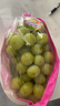 陽(yáng)光玫瑰葡萄晴王青提香水提子山西新鮮水果一斤也是批發(fā)價(jià) 帶箱2斤大果【單果克重10g-20g】（凈重約1.5斤） 曬單實(shí)拍圖