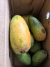 海南三亞小臺農大果當季臺農芒芒果皮薄肉厚純甜無(wú)絲爆汁【活動(dòng)】 單果60g+（帶箱子1斤） 曬單實(shí)拍圖