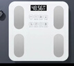 體重秤米家APP體脂秤電子秤稱(chēng)體重秤減肥專(zhuān)用智能精準體重宿舍家用減肥專(zhuān)用智聯(lián)精準電子秤體重秤 【爆款】米家APP體脂秤 充電 特厚鋼化玻璃 曬單實(shí)拍圖