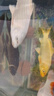 錦鯉魚(yú)活體觀(guān)賞魚(yú)活魚(yú)小型易養冷水淡水魚(yú)小魚(yú)苗錦鯉金魚(yú)好看錦鯉 13-15cm 六彩錦鯉套餐6條 曬單實(shí)拍圖