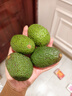京喜加云南國產(chǎn)正宗哈斯牛油果新鮮水果孕婦寶寶輔食鱷梨整箱批發(fā)價(jià) 4個(gè)裝 單果凈重100克+ 曬單實(shí)拍圖