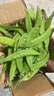 荷蘭豆新鮮蔬菜青豌豆甜脆豌豆苗四季豆扁豆當季時(shí)令新鮮蔬菜 新鮮荷蘭豆帶箱2斤【農家自種】 曬單實(shí)拍圖