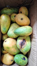 海南小臺農芒果新鮮現摘小臺芒應當季熱帶水果特產(chǎn)芒果【活動(dòng)】 單果80g+（帶箱5斤） 曬單實(shí)拍圖