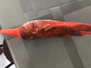 百鮮洽特大龍蝦波士頓龍蝦 活凍波龍澳洲大龍蝦海鮮水產(chǎn)冰鮮冷凍蝦類(lèi) 1只裝（凈重550g-750g/只） 曬單實(shí)拍圖