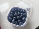 果蜜美云南星辰l花香藍莓鮮果小懶超能杯枝特大冠新鮮水果禮盒裝25 中果 14-17mm 藍莓順豐禮盒裝 900g L25花香藍莓 曬單實(shí)拍圖