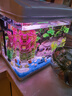 長(cháng)銳小魚(yú)缸小型桌面客廳家用玻璃免換水迷你 CR320+綠野仙蹤景（仿真草） 曬單實(shí)拍圖