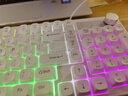 秋坤鍵盤(pán)鼠標套裝客制化靜音有線(xiàn)usb高顏值多彩拼色發(fā)光臺式電腦辦公游戲機械手感電競電子外設網(wǎng)吧家 K230【白色混光】單鍵盤(pán) 有線(xiàn)連接 曬單實(shí)拍圖