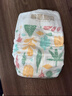碧芭寶貝紙尿褲叢林狂想曲系列嬰兒成長(cháng)褲寶寶加大號尿不濕薄透氣 紙尿褲M(mǎn)50片*2包(6-11kg) 曬單實(shí)拍圖