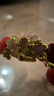 周大福SOINLOVE蜜粉金十里紅妝鳳冠黃金轉運珠紅繩VR1695禮物生日禮物 曬單實(shí)拍圖