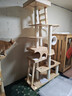 獸牌美居實(shí)木貓爬架大型貓樹(shù)貓窩一體豪華不占地貓架超高不晃大貓適用 美居CC S丨雙太空艙【預售中】 曬單實(shí)拍圖