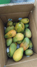 【26年爆款】海南小臺芒純甜芒果源頭直發(fā) 帶箱五斤裝70-90g 曬單實(shí)拍圖