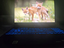 華碩（ASUS）天選6Pro/5Pro【補貼20%】滿(mǎn)血5060獨顯16英寸游戲筆記本電腦 天選4 R7-7735H RTX4050 16G+1TB【可升級32G】 正品|全國質(zhì)保 曬單實(shí)拍圖