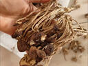 東北特產(chǎn)茶樹(shù)菇干貨不開(kāi)傘深山無(wú)硫當年新貨正宗長(cháng)白山野生茶樹(shù)菇 250g【野生長(cháng)短不一顏色不一】 曬單實(shí)拍圖
