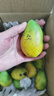 海南臺農芒果 熱帶水果臺農芒甜心芒新鮮雞蛋芒整箱批發(fā) 小臺芒凈重3.5-4斤單果60g+ 曬單實(shí)拍圖