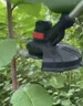 普朗德割草機打草機家用手持割灌機鋰電草坪機除草神器電動(dòng)工具 曬單實(shí)拍圖