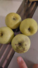 青蘋(píng)果新鮮綠蘋(píng)果酸脆甜多汁孕婦蘋(píng)果當季現摘水果綠蘋(píng)果農家 4粒裝凈重1.4斤70mm 曬單實(shí)拍圖