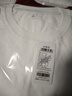 重磅純棉短袖t恤男高檔純色印花休閑基礎款內搭半袖打底衫 白色 XL  140-155斤 曬單實(shí)拍圖