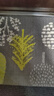 大江 入戶(hù)地墊進(jìn)門(mén)腳墊進(jìn)戶(hù)門(mén)玄關(guān)門(mén)口地墊入戶(hù)門(mén)60x90cm 落葉 曬單實(shí)拍圖