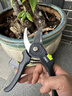 得力（deli）修枝剪刀樹(shù)枝剪 升級SK5鋼果樹(shù)剪花枝剪盆栽花卉園林園藝修枝神器 曬單實(shí)拍圖