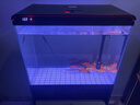 福路康超白玻璃免換水生態(tài)魚(yú)缸客廳小型水族箱落地金魚(yú)缸造景一體柜家用 黑色600魚(yú)缸+柜子(智能超白) 曬單實(shí)拍圖