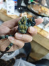 千載一玉翡翠貔貅吊墜 男女士禮物玉貔貅玉墜玉石皮丘玉佩 款六QZF3360q 曬單實(shí)拍圖